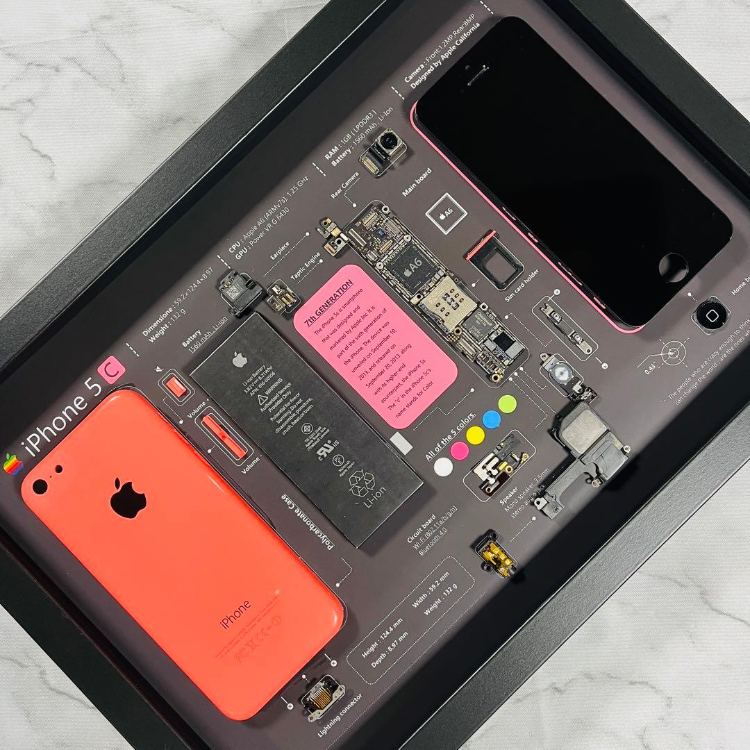 iPhone 5c ピンク 標本アート ボックスフレーム仕様