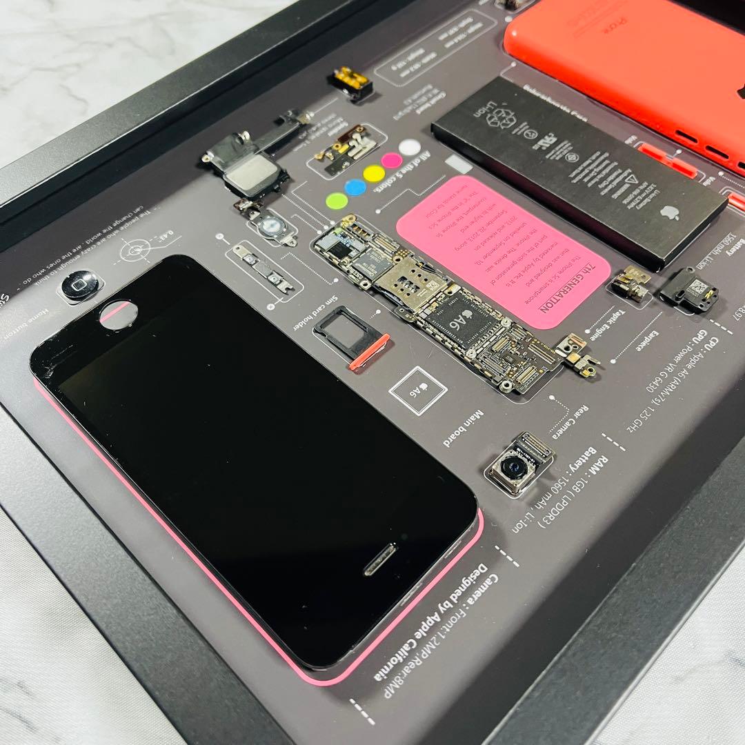 iPhone 5c ピンク 標本アート ボックスフレーム仕様