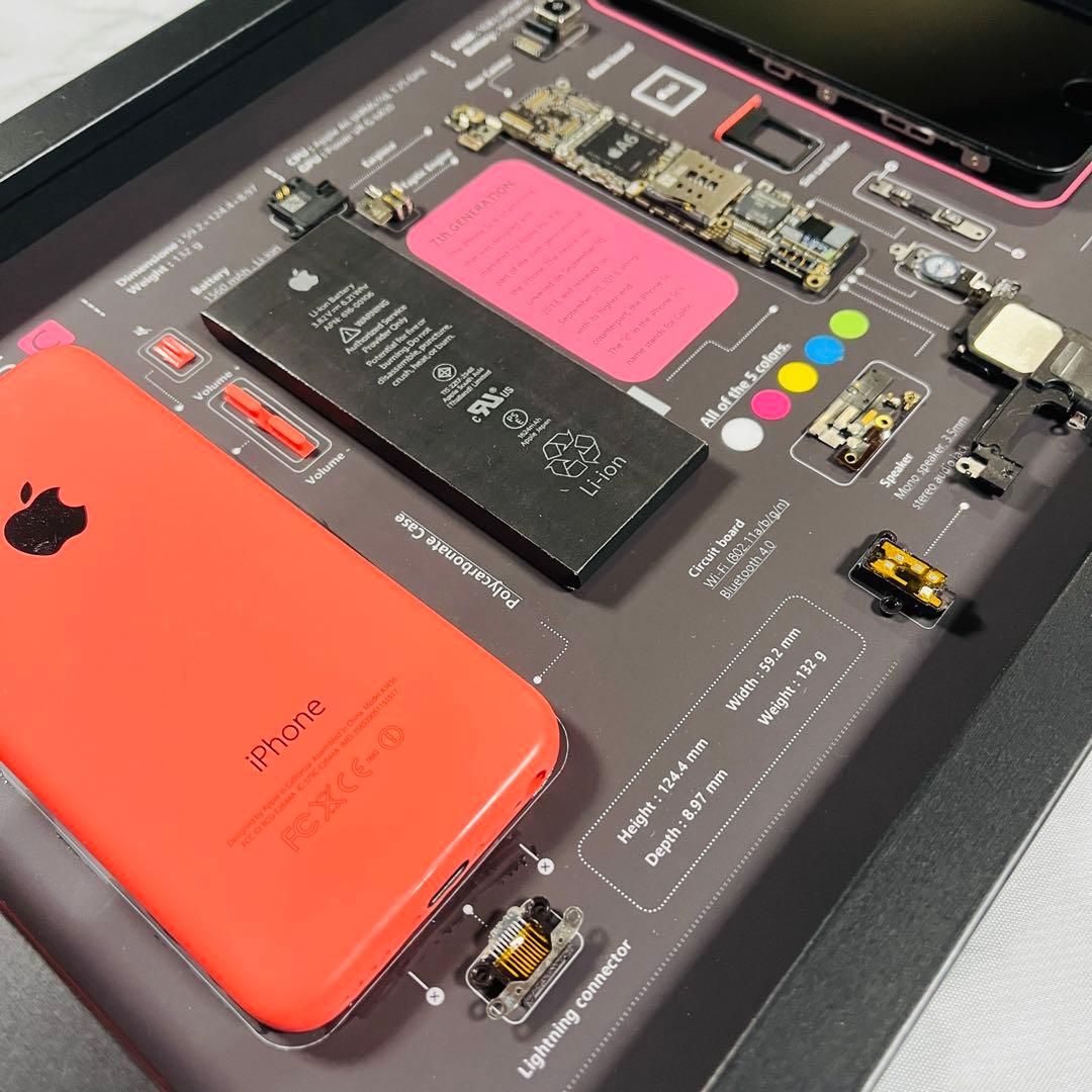 iPhone 5c ピンク 標本アート ボックスフレーム仕様