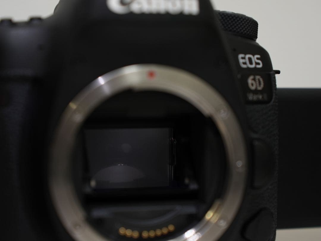 Canon EOS 6D MARK2ボディ