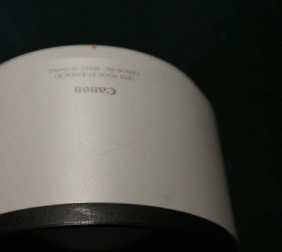 あかざき Canon RFレンズ 70-200mm F4 L IS USM