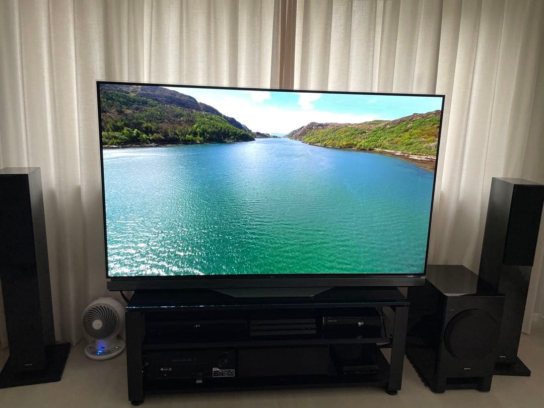 LG OLED 65E6P 激レア ラスト 3D 65インチ 直接引取のみ 大阪