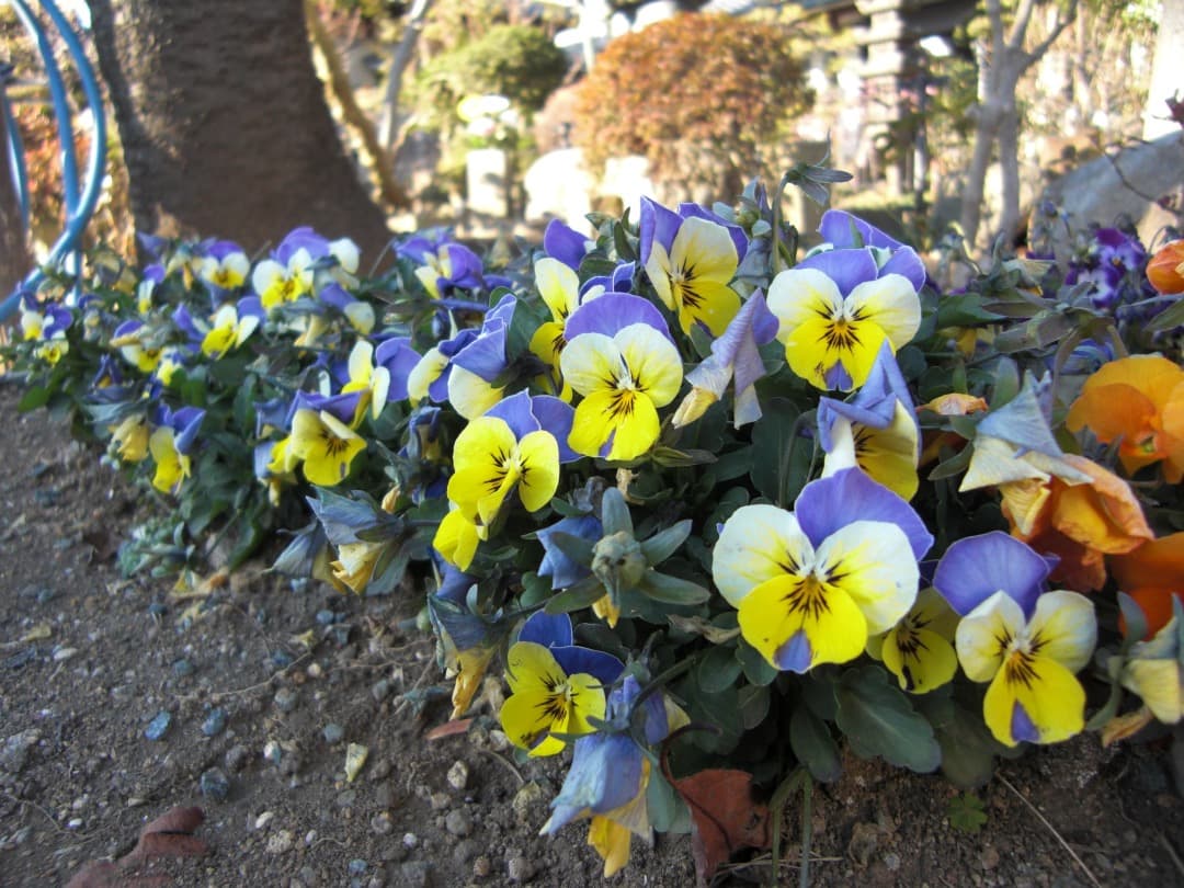 実写美⭕️外観美【動作確認済】CASIO EXILIM EX-Z100 シルバー