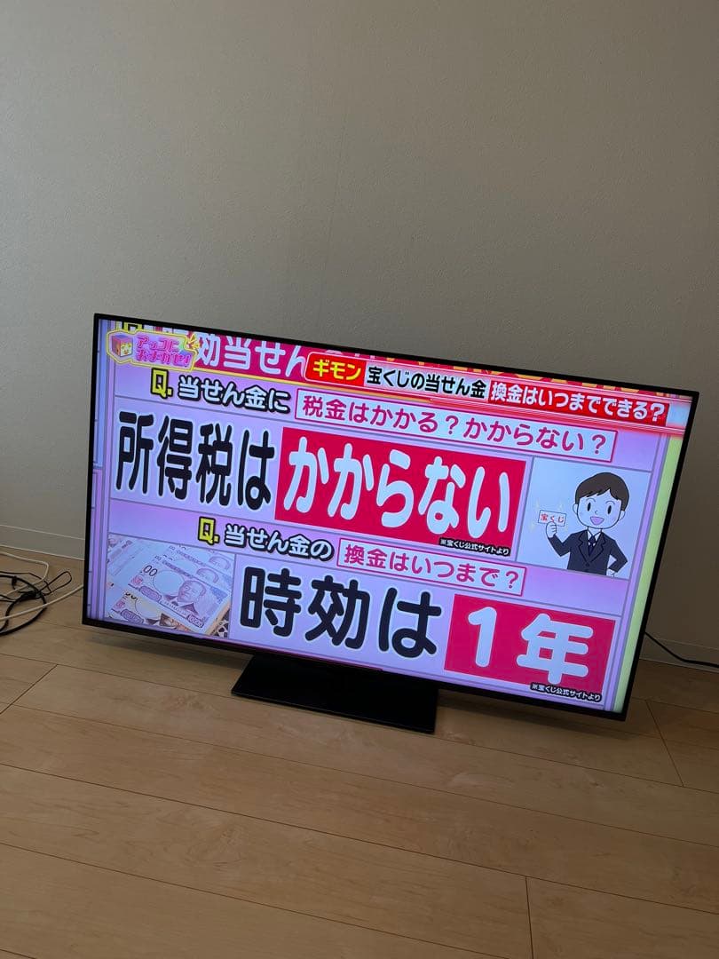 【ぴっぴ】【2024年型】REGZA 50V液晶テレビ【50Z670N】