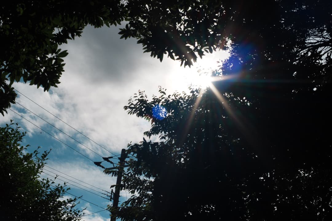 【極美品】Carl Zeiss Planar 50mm F1.4 MMJ 650