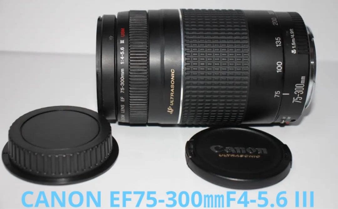 超望遠レンズ☆デジタル一眼レフカメラ☆Canon EF75-300㎜I USM