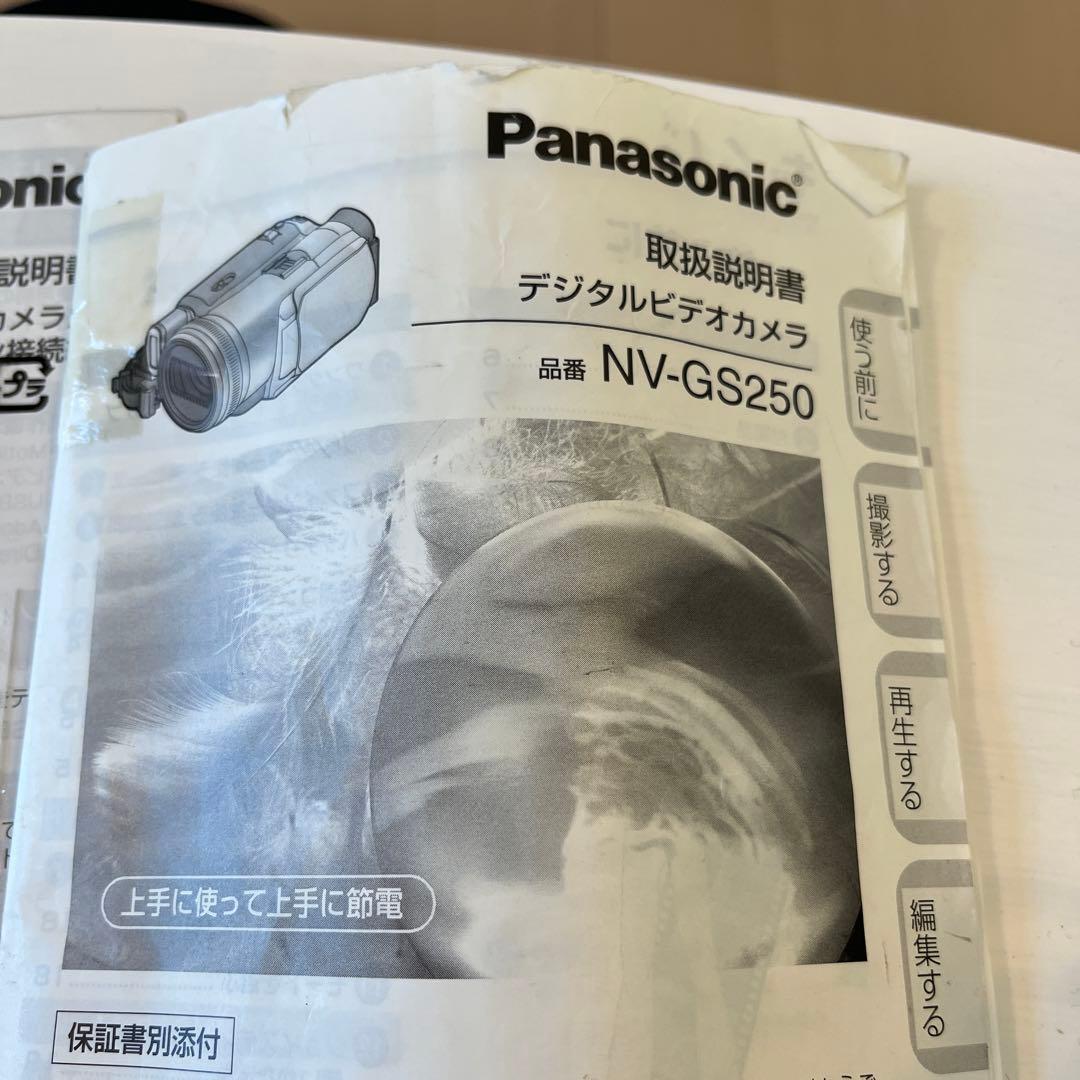 Panasonic NV-GS250 ビデオカメラ 3.1メガピクセル　おまけ付