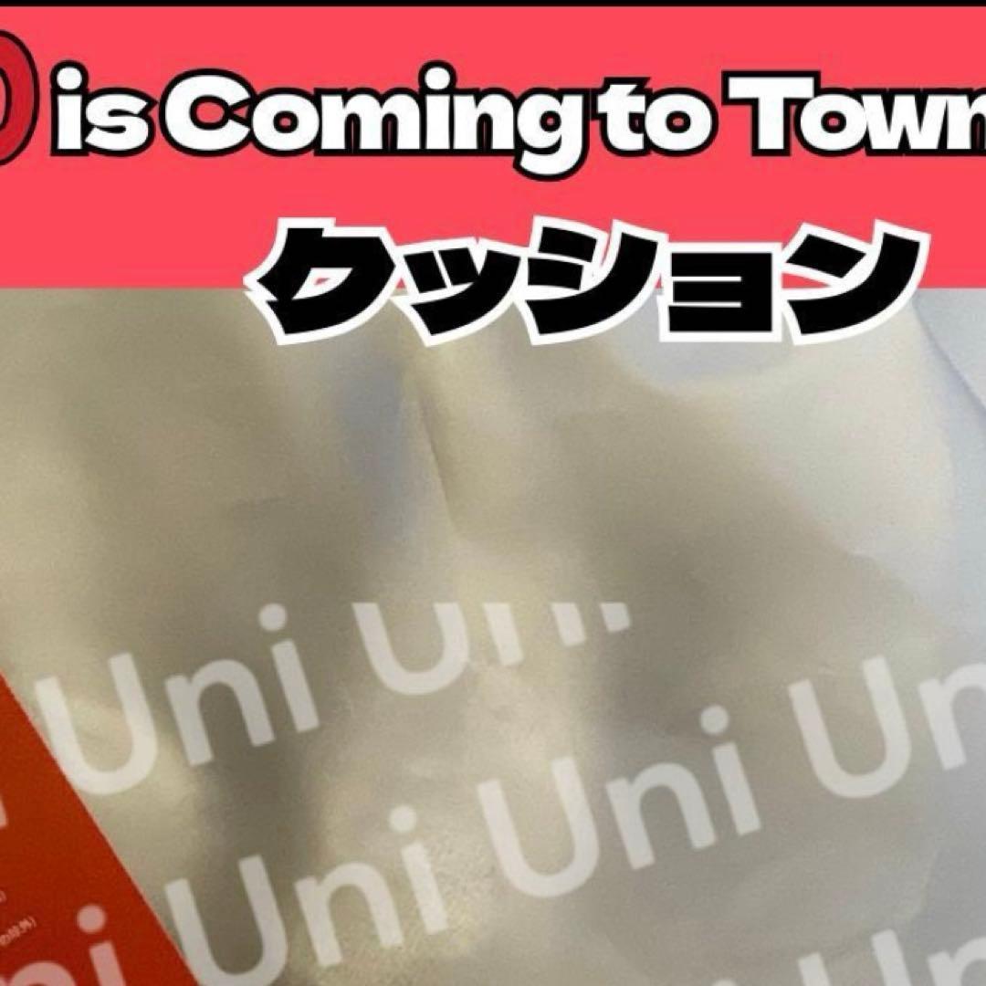 ボネクド　ソンホ　クッション 抱き枕　POPUP　J920