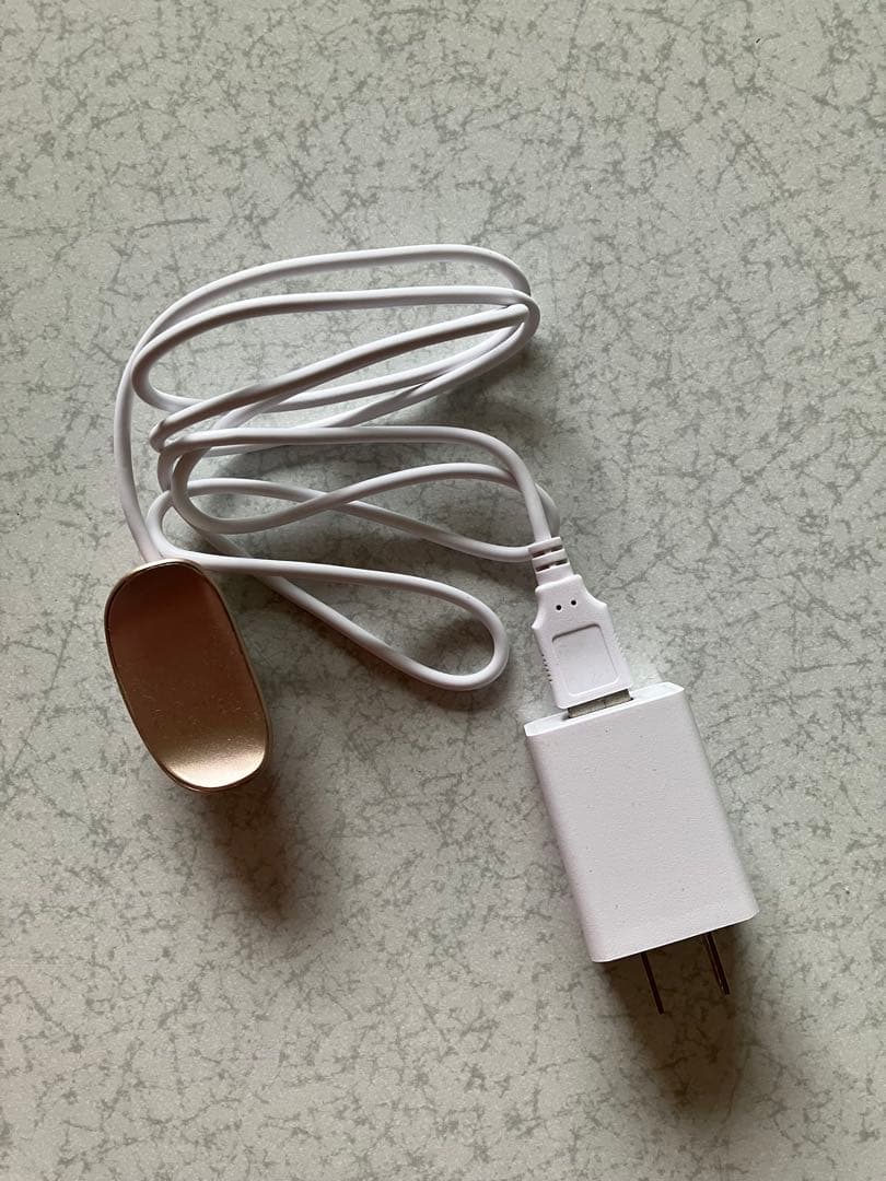 Éclat 美顔器 ラボンエクラ IKKOプロデュース