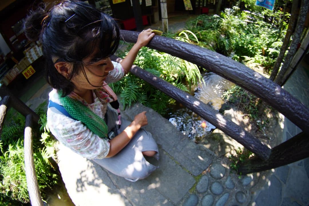 魚眼レンズ！フィッシュアイレンズ！SONY Eマウント対応！ミラーレス用！美品！