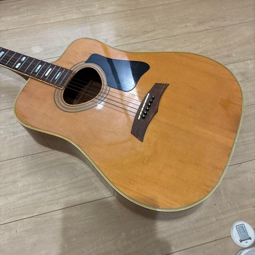 激レア！TF モーリス　MORRIS W-621R schallerペグです