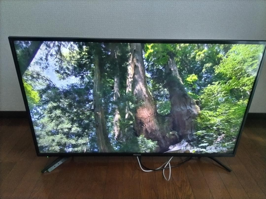 Hisense 43インチ テレビ 43F60E