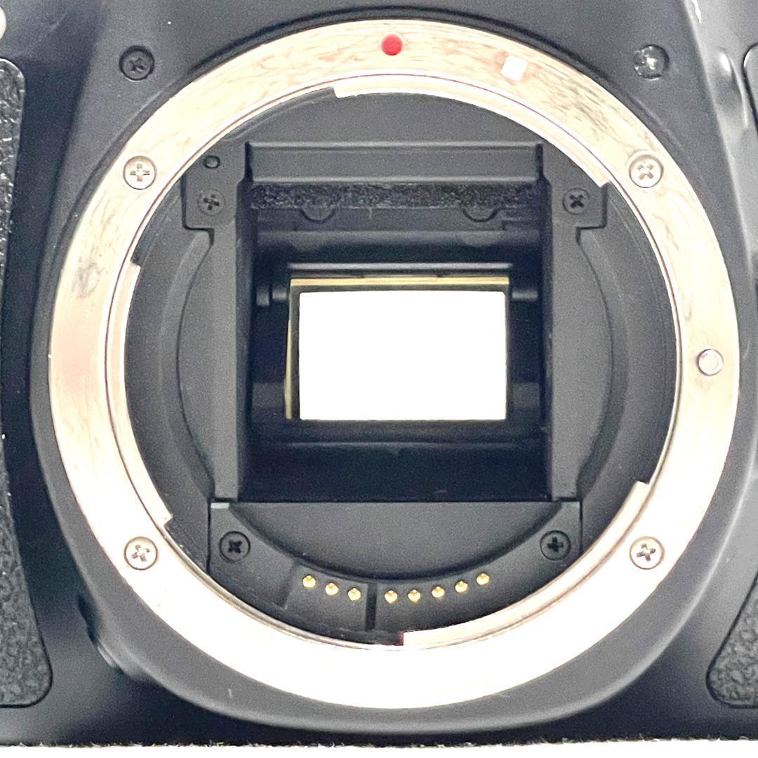 高速AF✨ Canon EOS 70D 望遠レンズセット イベントやペット撮影