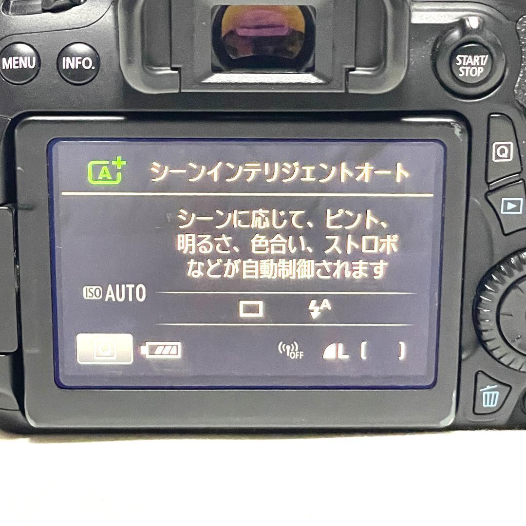 高速AF✨ Canon EOS 70D 望遠レンズセット イベントやペット撮影