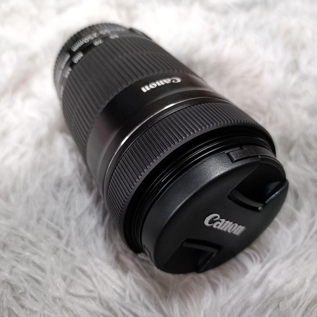 Canon EF-S55-250mm F4-5.6 IS STM 望遠レンズ