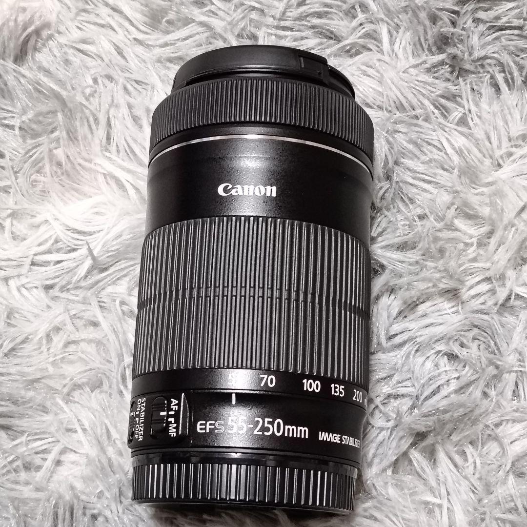 Canon EF-S55-250mm F4-5.6 IS STM 望遠レンズ