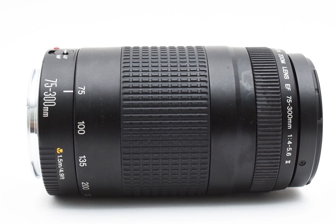 フード付き/望遠レンズ Canon EF 75-300mm F4-5.6 Ⅱ
