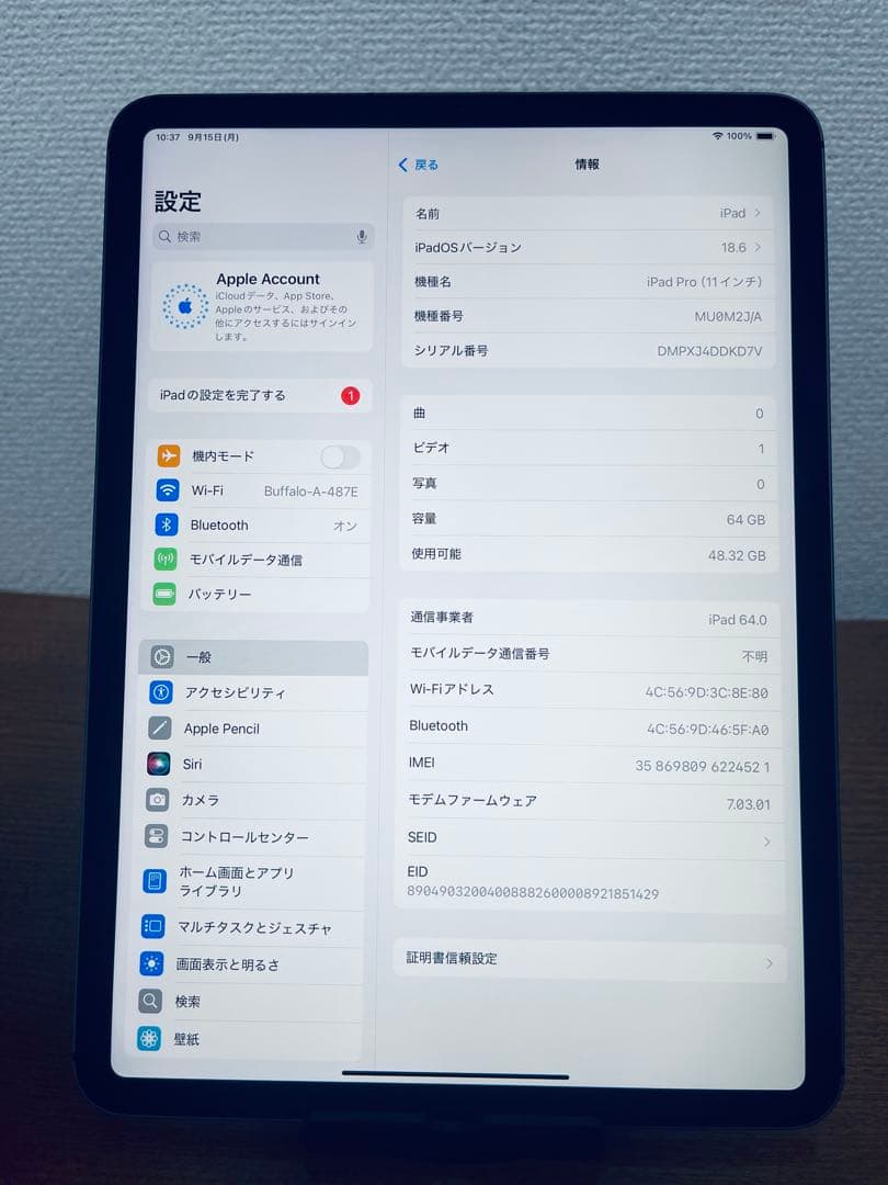 iPad Pro 11インチ (第1世代) 64GB WiFi + セルラー