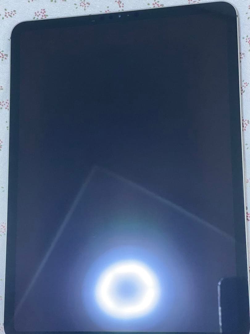 iPad Pro 11インチ (第1世代) 64GB WiFi + セルラー