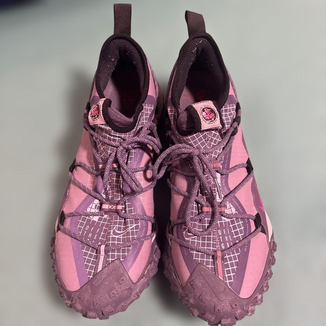 【30cm 】ナイキ　ACG マウンテン　フライ　low se