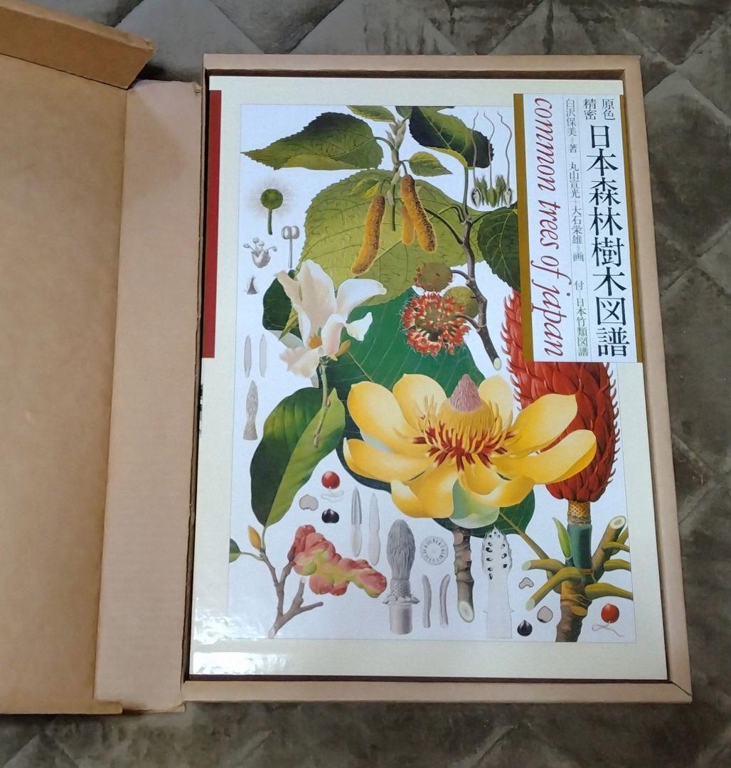 原色精密 日本森林樹木図譜 日本竹類図譜付　大型本 初版本