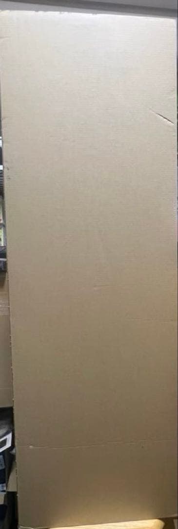 掃除機・クリーナー DysonV12 Detect Slim Absolute (SV46 ABL)