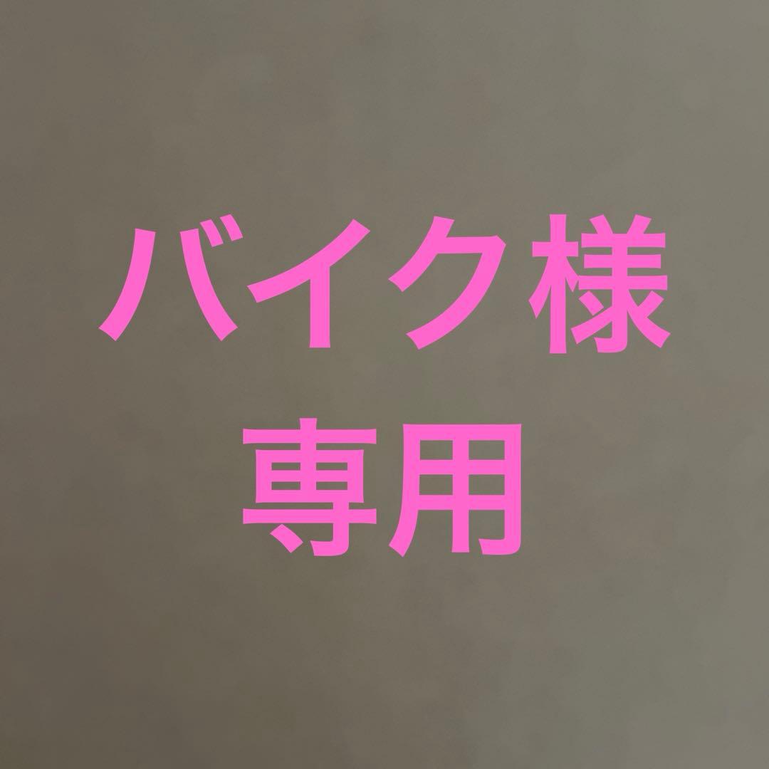 バイク　Apple iPad Pro 10.5 インチ (第１世代)