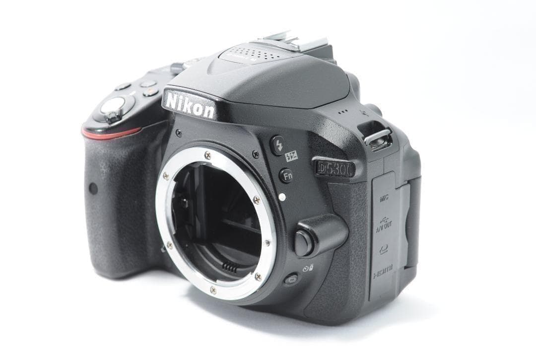 風景に最適な望遠レンズセット❤️Nikon D5300✨Wi-Fiでスマホ転送