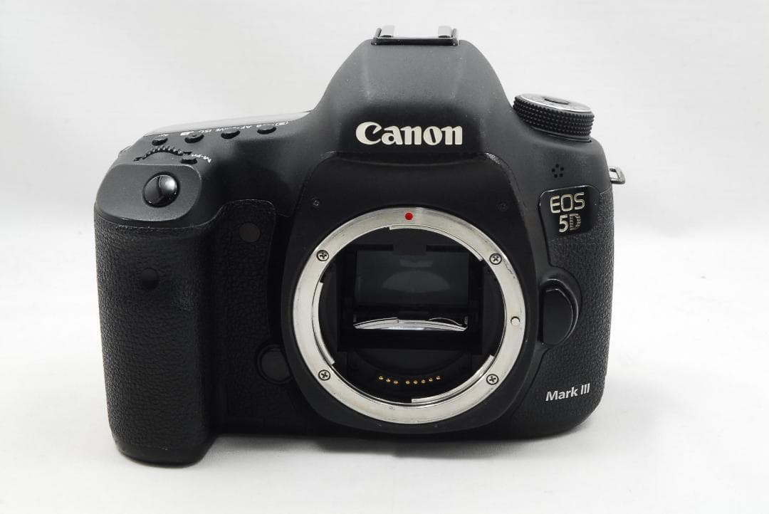 キャノン EOS 5D Mark Ⅲ &バッテリーグリップ BG-E11 665