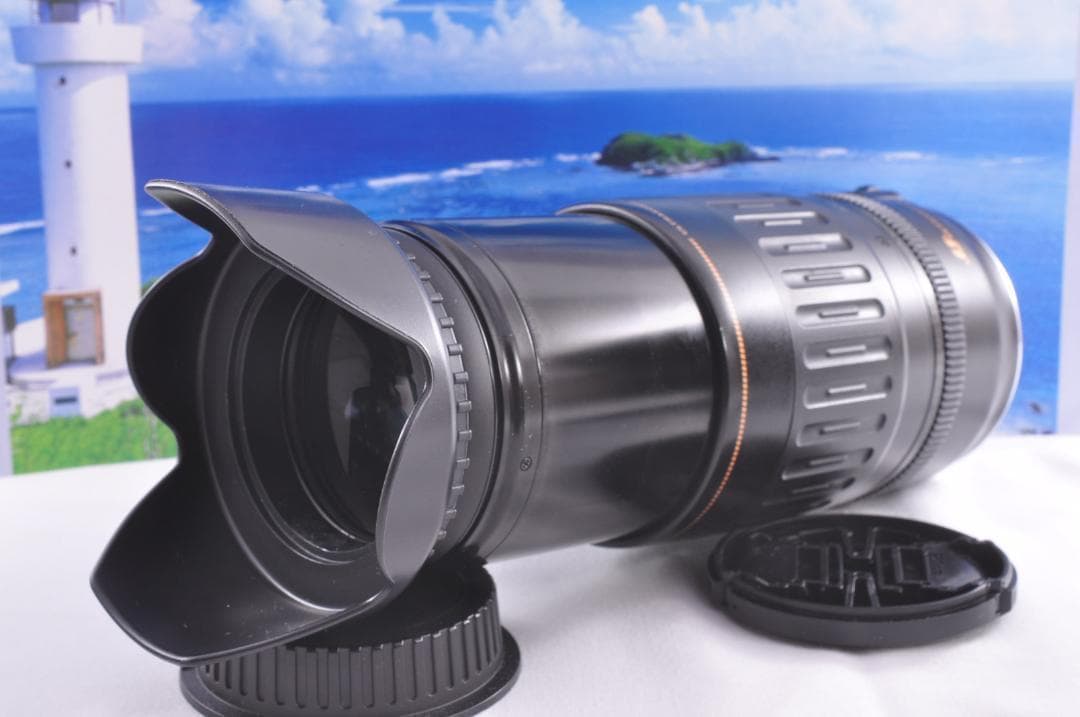 望遠レンズ 大切な記録を望遠で Canon キヤノン EF100-300mm#⑦