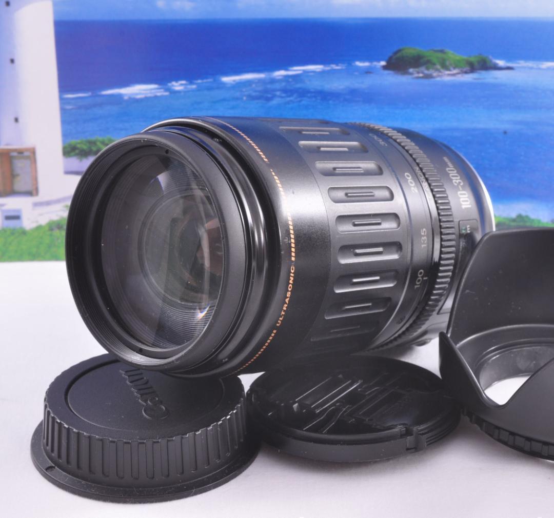 望遠レンズ 大切な記録を望遠で Canon キヤノン EF100-300mm#⑦