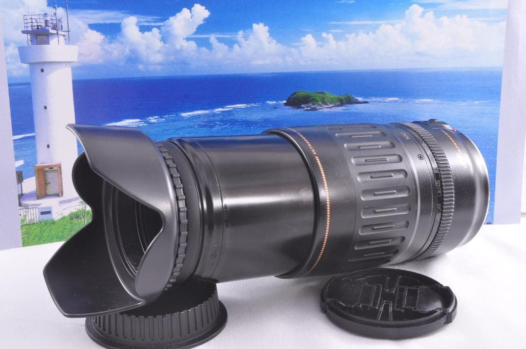 望遠レンズ 大切な記録を望遠で Canon キヤノン EF100-300mm#⑦