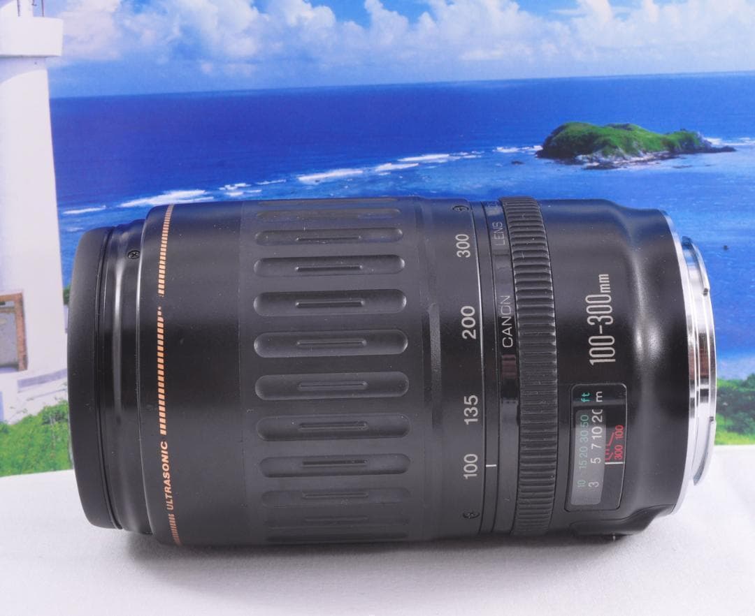 望遠レンズ 大切な記録を望遠で Canon キヤノン EF100-300mm#⑦