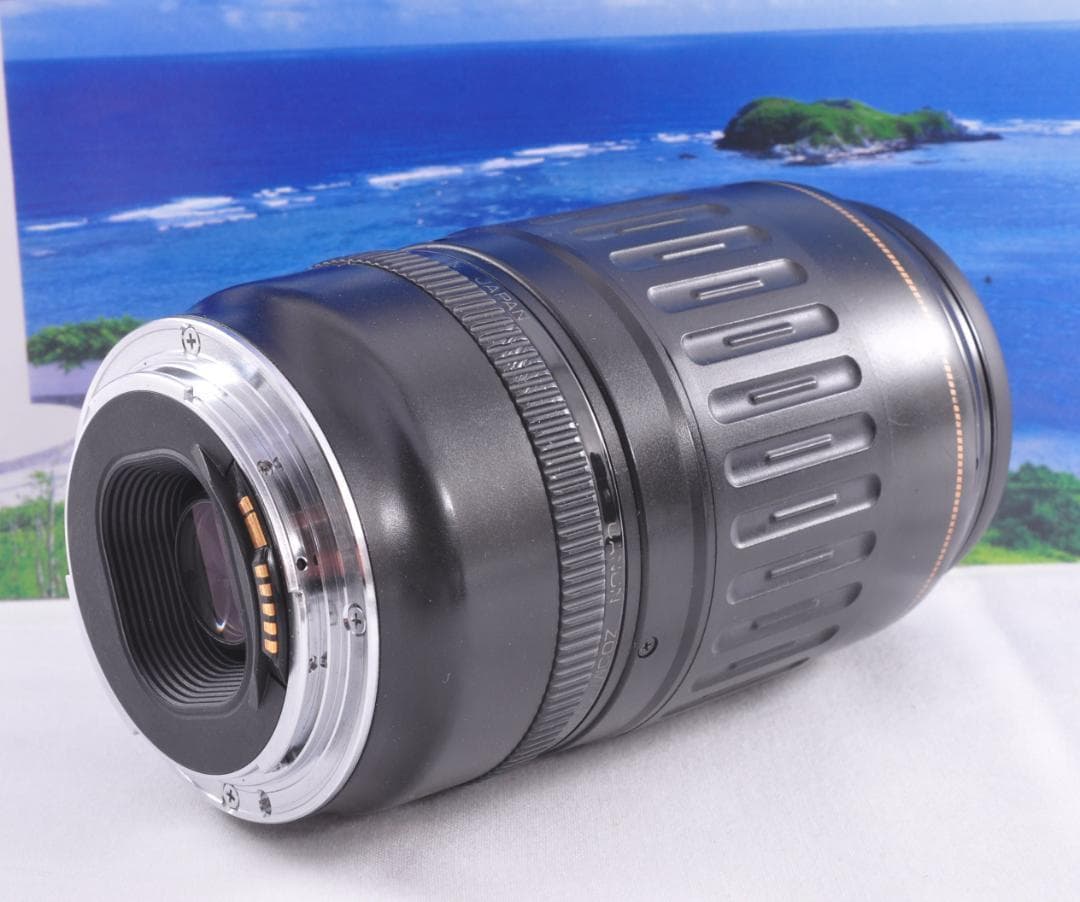 望遠レンズ 大切な記録を望遠で Canon キヤノン EF100-300mm#⑦