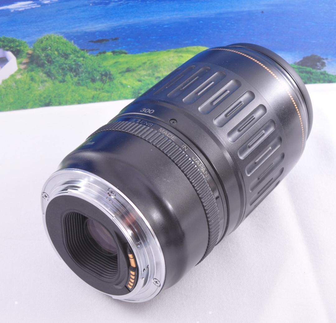 望遠レンズ 大切な記録を望遠で Canon キヤノン EF100-300mm#⑦