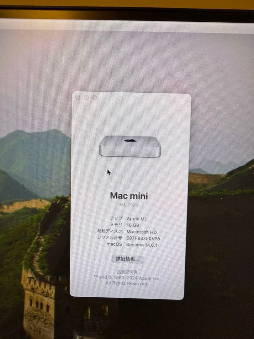ミニPC Apple Mac mini M1 16GB 1TB