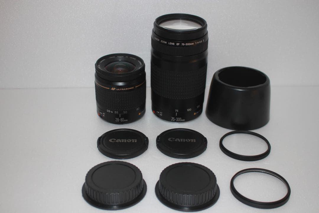 フード付き☆キャノン Canon EOS 80D標準&望遠ダブルレンズセット