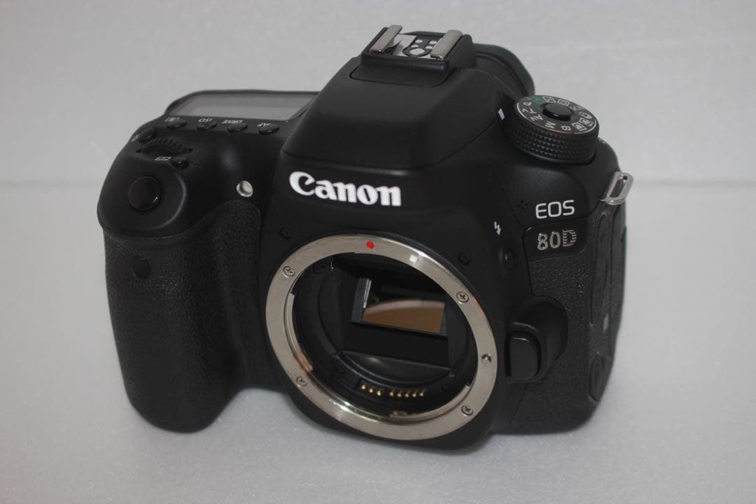 フード付き☆キャノン Canon EOS 80D標準&望遠ダブルレンズセット