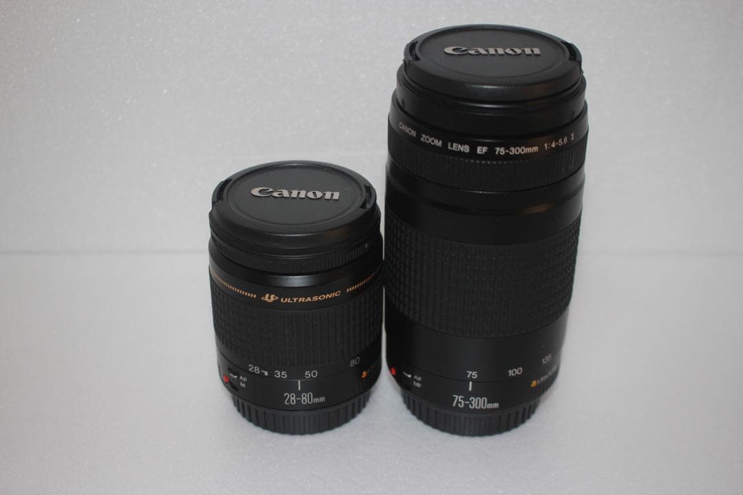 フード付き☆キャノン Canon EOS 80D標準&望遠ダブルレンズセット