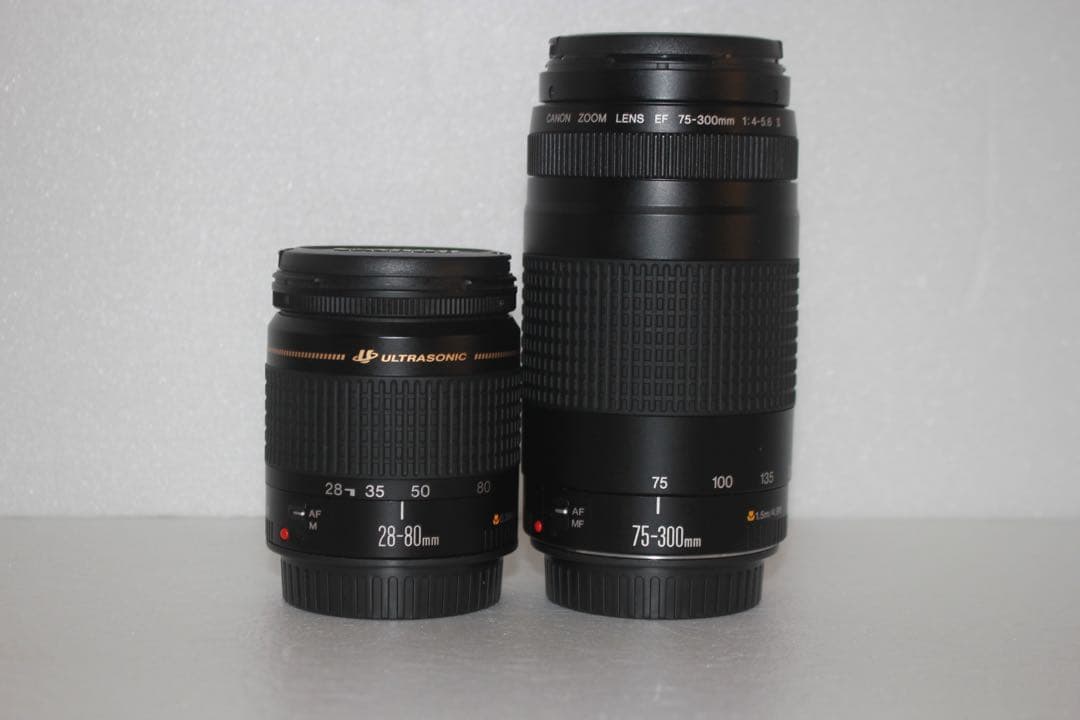 フード付き☆キャノン Canon EOS 80D標準&望遠ダブルレンズセット