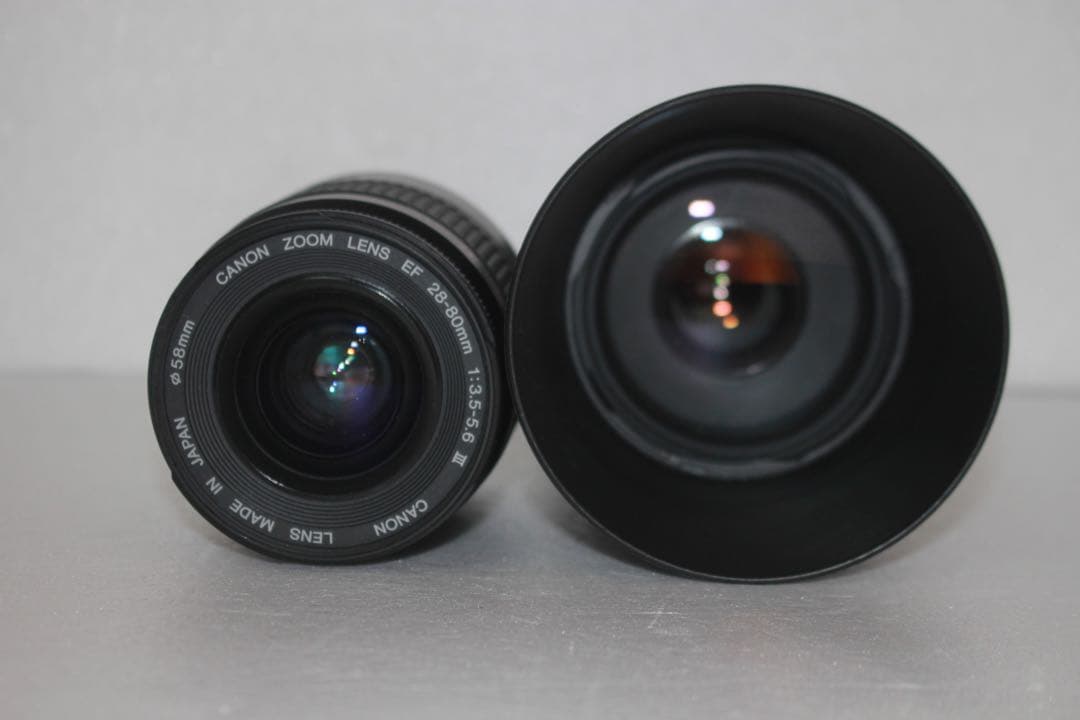 フード付き☆キャノン Canon EOS 80D標準&望遠ダブルレンズセット