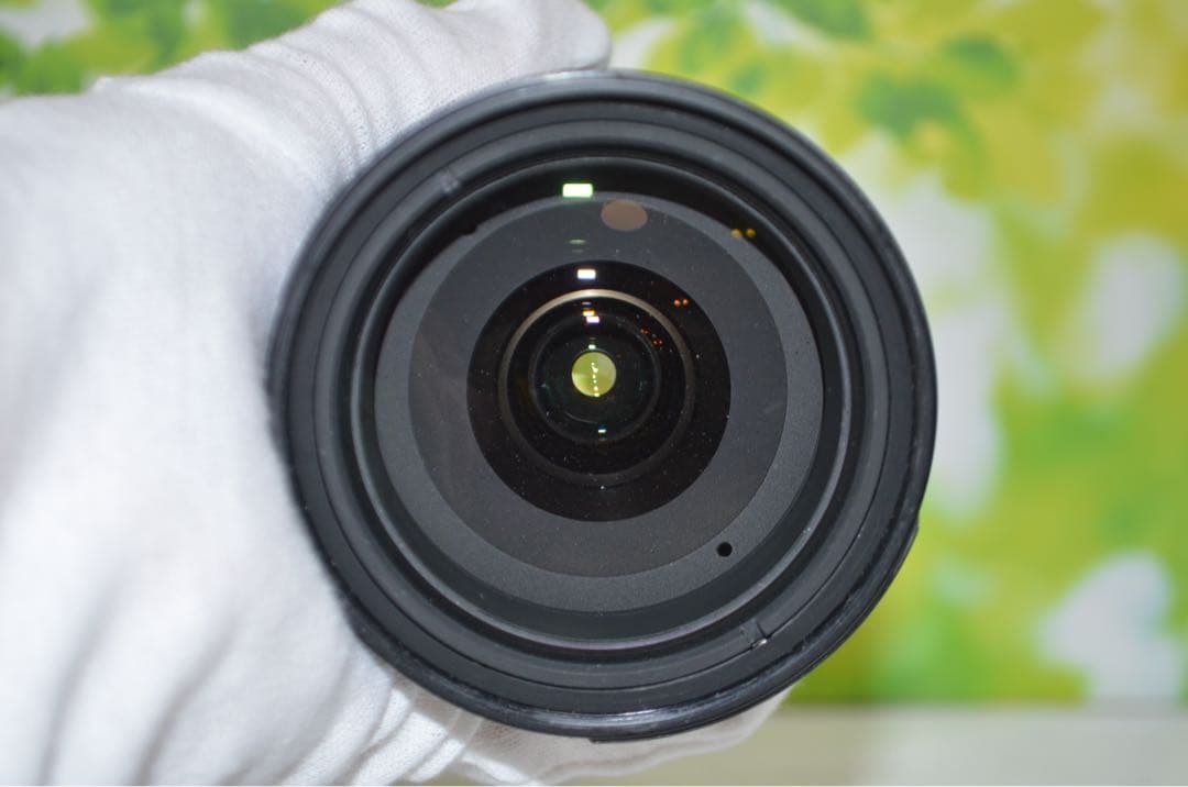 美品 ニコン Nikon AF-S DX 18-200㎜☆近距離から望遠まで！