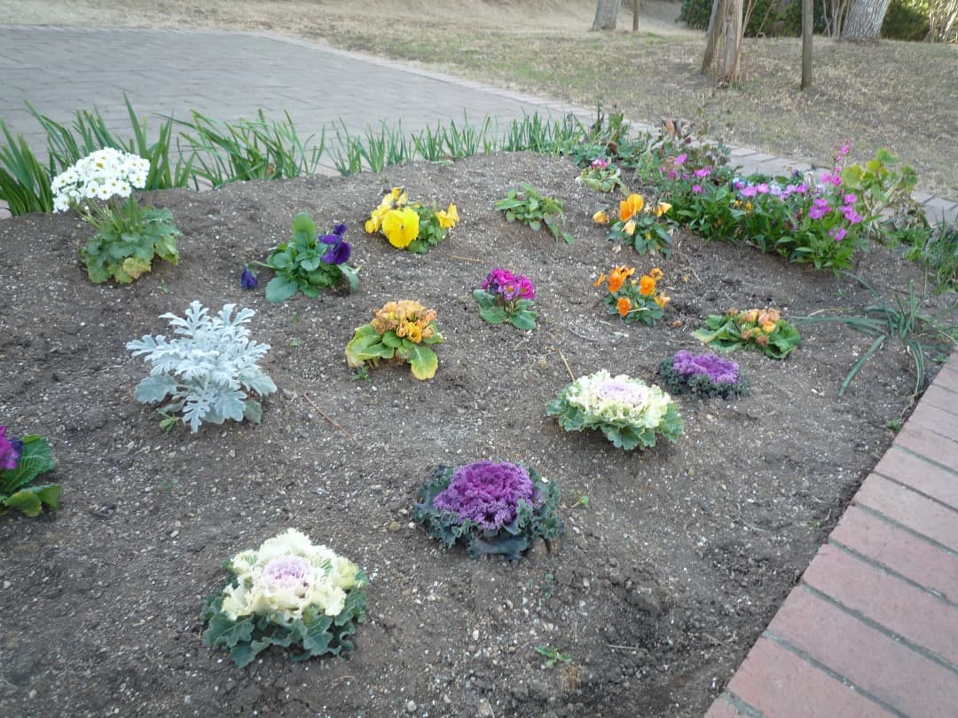 実写美⭕️【動作確認済】Panasonic LUMIX DMC-FX37 ピンク