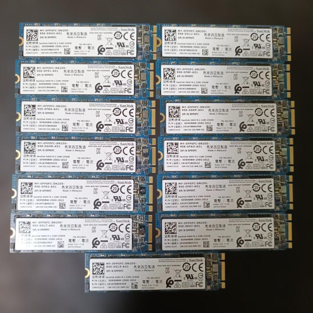 SanDisk X600 M.2 SATA 256GB SSD 13枚セット