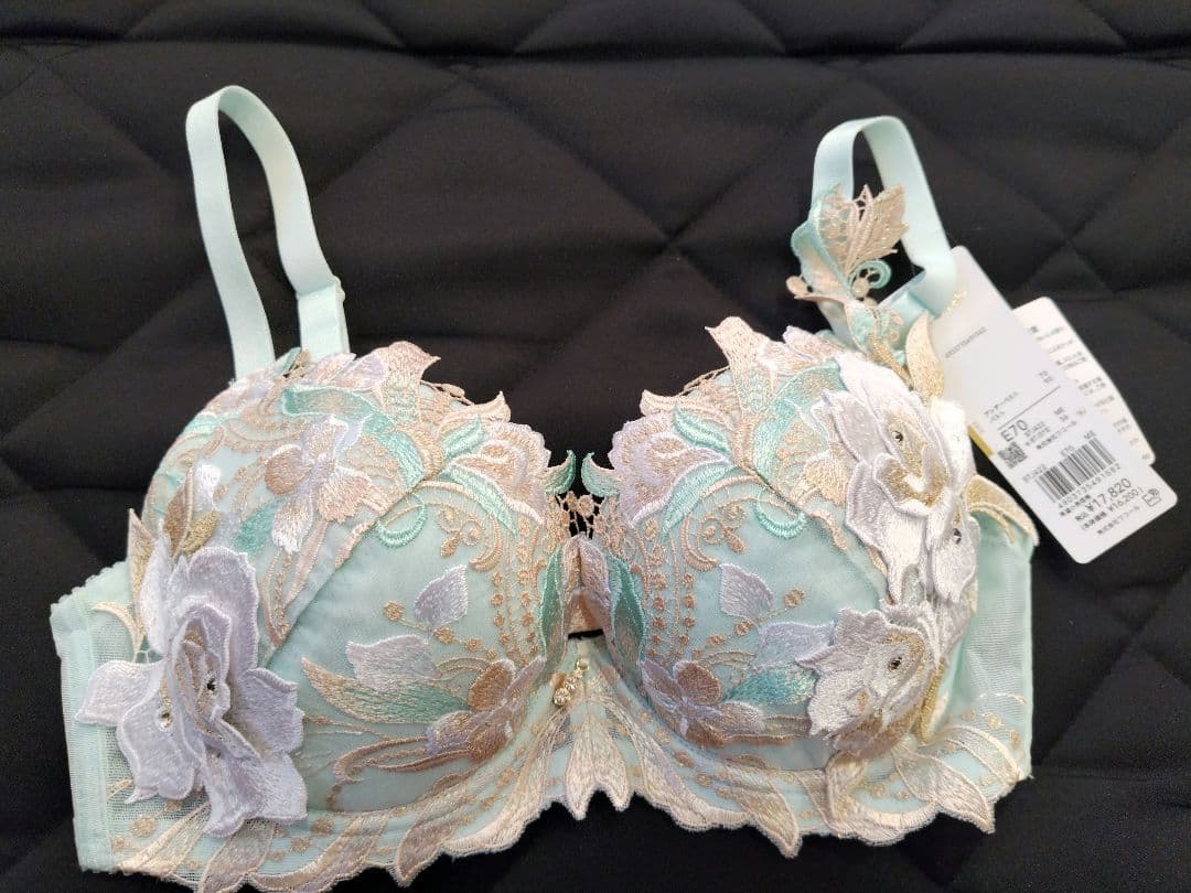 サルート 22グループ ラプンツェル E70 M P-UP　メロン　ワコール