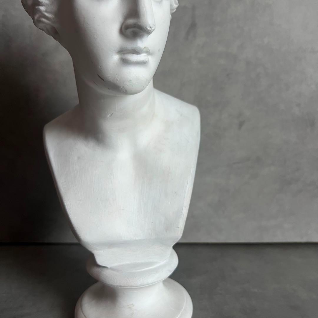 希少 ミロのヴィーナス 石膏 胸像 デッサン アート 彫刻 美術 芸術 アート