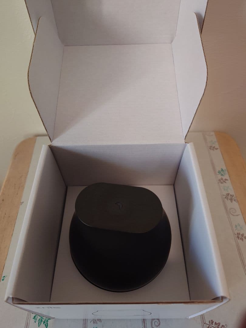 謝恩価格　Znie P-100 Black 新古