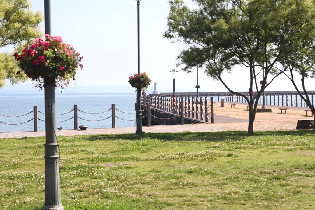 ☆プロフ必読○○ ★ OLYMPUS OM-1 + 標準レンズ 50mm