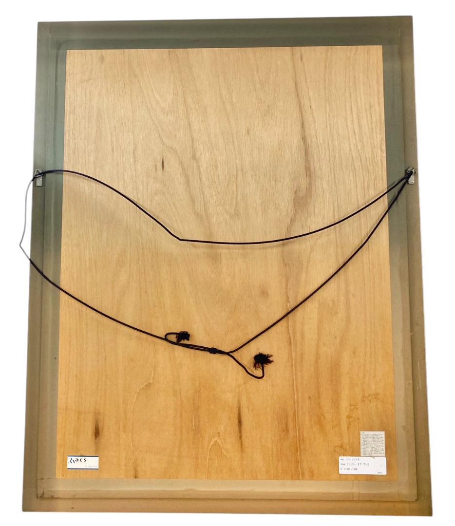 ★良品★ シム・シメール ファミリー・オブ・アース 090/395 絵画