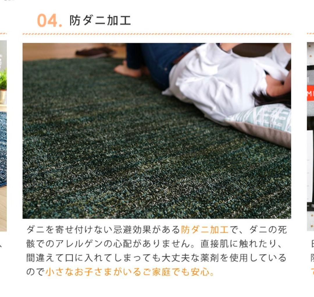 スミノエ ナイロンラグ リュストル 楕円形 140×200/防ダニ・防炎　高品質